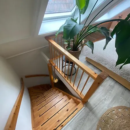 't Vissershuisje Apartamento Zandvoort
